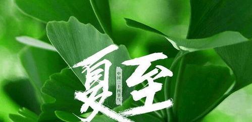 今日夏至吃瓜赏花的视频,瓜果飘香，花海绽放——共赏夏至美景