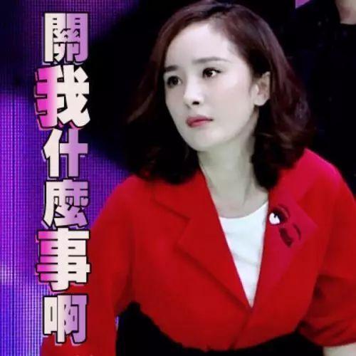 今日吃瓜热门事件明星有哪些,今日热门吃瓜事件聚焦明星动向
