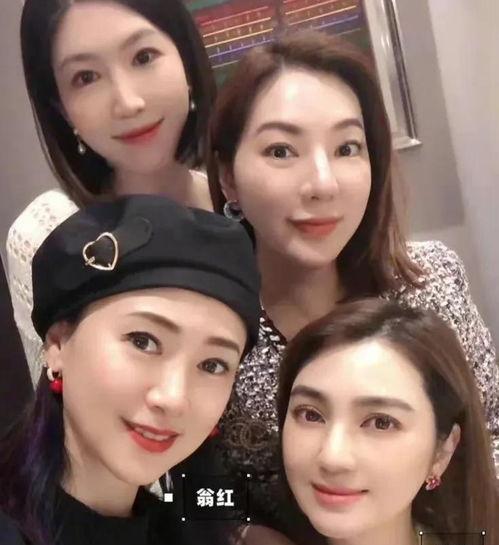 娱乐圈顶流吃瓜小说,瓜田里的璀璨星辰