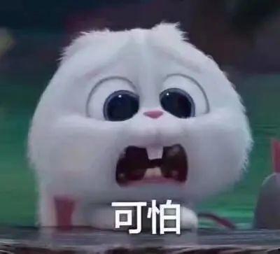 今日昆明吃瓜事件真相,揭秘背后真相与网络舆论的反思