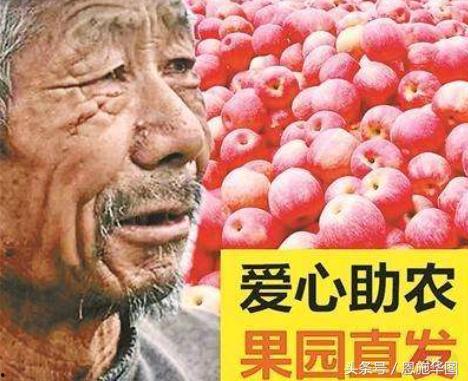 近期热门吃瓜大爷事件是真的吗,真相揭秘，网络热议背后的真相