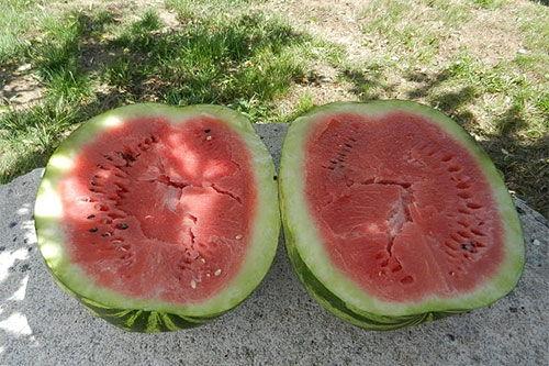 梦见买黑瓤西瓜吃瓜,品味黑瓤西瓜的奇幻之旅