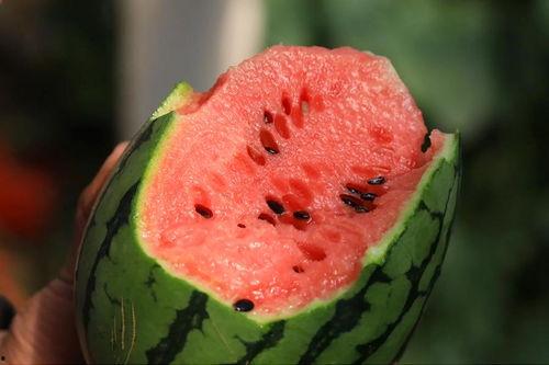 爆料吃瓜王大炮,揭秘娱乐圈幕后爆料真相