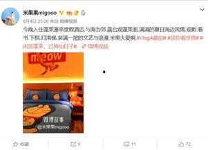 明星网红打卡地点,明星同款热门地点大盘点