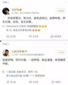 明星网红分手文案,一段情感旅程的终结