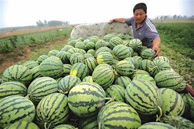 青岛谢梦娜今日吃瓜视频,揭秘青岛网红幕后故事