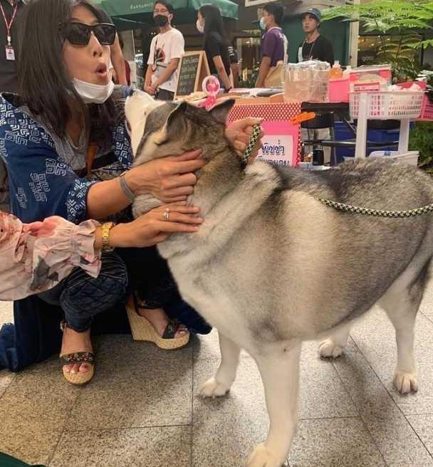 51今日吃瓜香香公主和爱犬,香香公主与爱犬的51今日吃瓜趣事