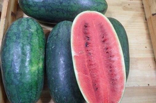 黑交院南校区吃瓜,校园美食圈新热点揭秘”