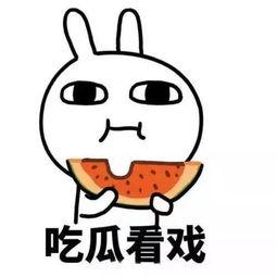 近期热门吃瓜事件离婚是真的吗,热门吃瓜事件主角离婚真相揭秘