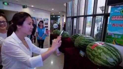 5月份热门吃瓜事件新闻,盘点5月娱乐圈、社会热点事件大盘点