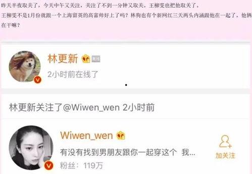 明星网红黄网站,流量密码与商业帝国