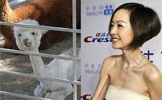明星网红搞笑时刻,笑点爆棚！明星网红搞笑瞬间大盘点