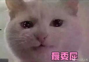 带你吃瓜奇葩黑科技13,带你吃瓜奇葩黑科技13背后的神奇奥秘