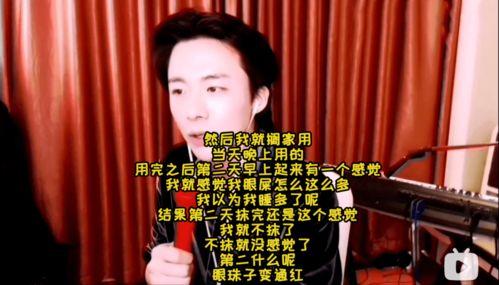 刘姓明星网红,网络红人界的璀璨星辰