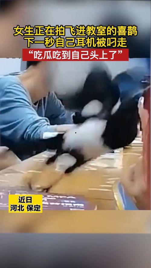 近期热门吃瓜事件女的躺地上,揭秘近期热门吃瓜事件背后的真相