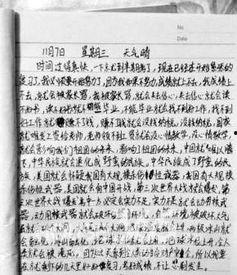 明星网红作文素材,影响力与争议并存
