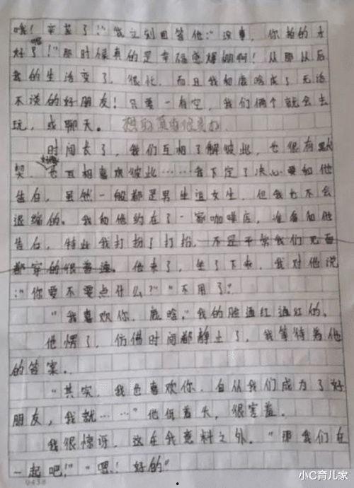 明星网红作文素材,影响力与争议并存