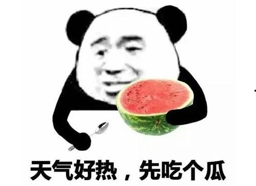 有哪些热门震惊三观的吃瓜事件,揭秘娱乐圈背后的秘密风云