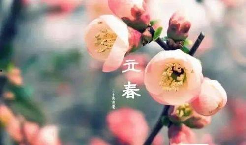 今日立春吃瓜视频直播,直播带你尝鲜瓜果飘香