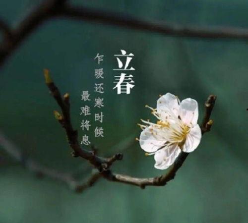 今日立春吃瓜视频直播,直播带你尝鲜瓜果飘香