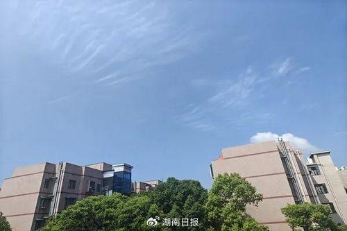 湖南信息学院近期热门吃瓜事件,揭秘校园热点事件背后的真相