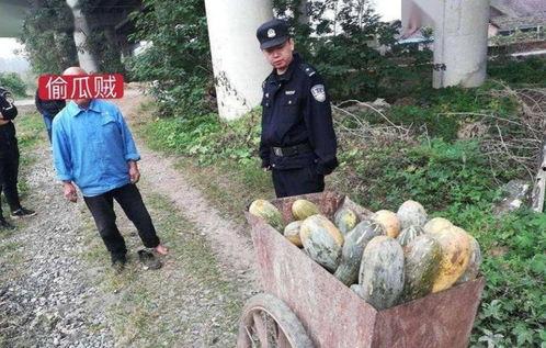 临海今日吃瓜事件视频最新,真相揭秘，网友热议不断