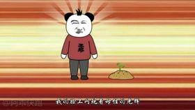 吃瓜爆料沙雕动画,吃瓜爆料，揭秘网络搞笑文化的魅力
