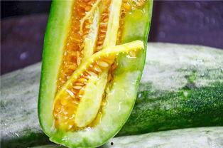 网红吃瓜免费爆料,免费爆料背后的秘密大揭秘