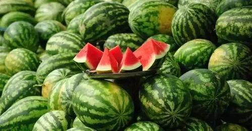 襄阳今日吃瓜事件真相,揭秘背后真相与网络舆论的反思