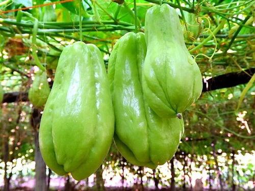 今日吃瓜必吃大瓜每日分享下一句,每日分享幕后真相