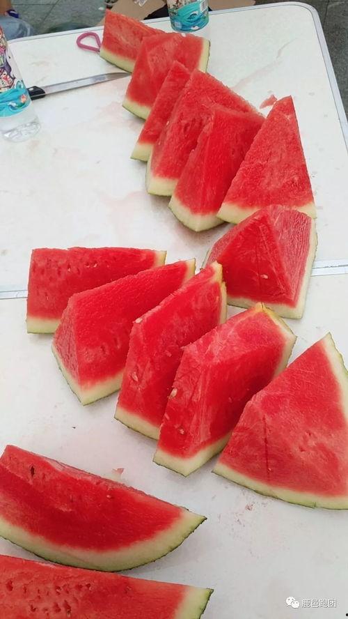 51大赛今日吃瓜必吃,今日吃瓜必看，揭秘精彩瞬间！