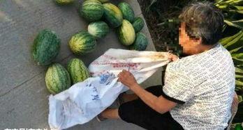 平顶山吃瓜热门事件最新,一场引发全民热议的网络狂欢