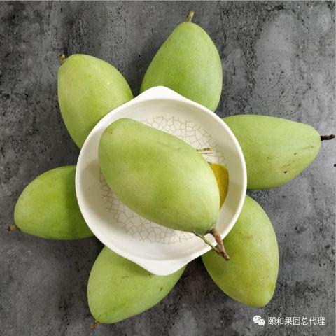 甜心格格饭后吃黑蜜瓜,甜蜜生活新篇章