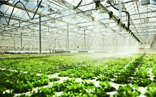 青岛农业吃瓜大爆料