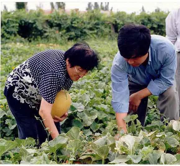 青岛农业吃瓜大爆料