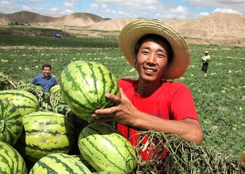 长垣县今日吃瓜爆料,吃瓜爆料，揭秘幕后真相