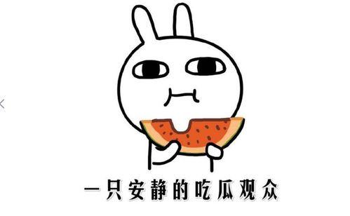 吃瓜热门口号怎么写的,揭秘吃瓜热门口号背后的趣味与智慧