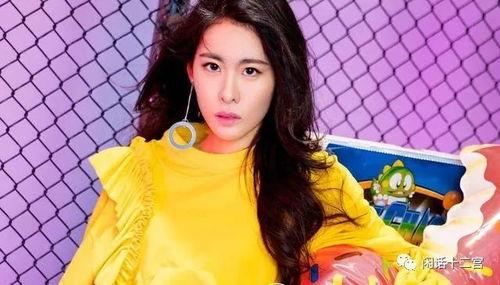 娱乐直播明星网红,网红娱乐直播的崛起之路