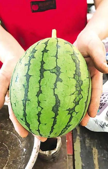 今日吃瓜的一天,娱乐圈风云再起，揭秘幕后真相