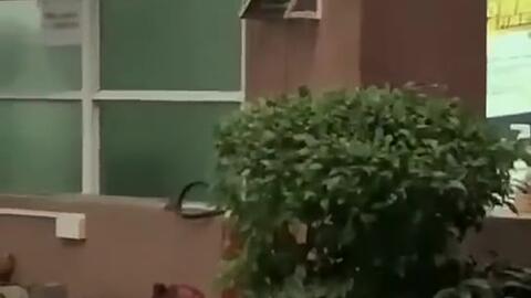 十堰今日吃瓜新闻,揭秘本地热点事件背后的真相