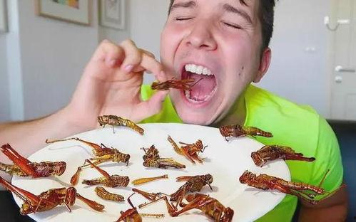 黑壳虾吃瓜虫吗,揭秘它们是否食用瓜虫