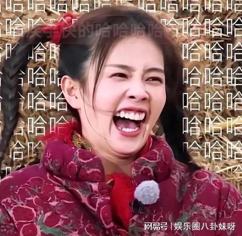 明星网红表情包,明星风采瞬间捕捉