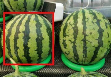 51热门吃瓜爆料网友直呼不简单,网友直呼不简单，揭秘背后惊人真相！