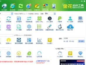 站长工具 吃瓜爆料,站长工具“吃瓜爆料”背后的真相