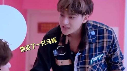 鹿晗今日吃瓜完整视频,全程视频回顾