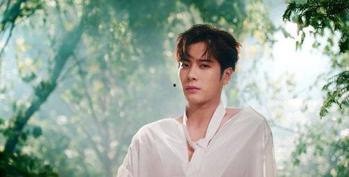 王嘉尔吃瓜爆料,一场吃瓜爆料的真实大戏