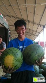 青州今日吃瓜新闻报道,今日新闻聚焦当地特色美食瓜果盛况