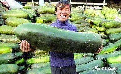 吃瓜怎么做不会黑,吃瓜也能白里透红