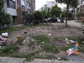 吃瓜爆料就看社区,网络舆论场上的风云变幻