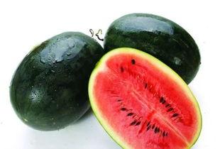 黑茄瓜适合煮了吃,营养丰富的煮食佳品